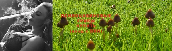 a pvp Верхнеуральск