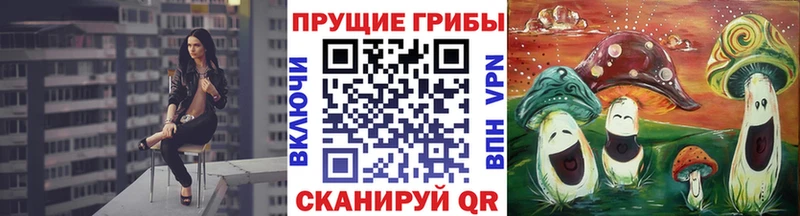 МЕГА ссылки  как найти наркотики  Казань  Галлюциногенные грибы Psilocybine cubensis 